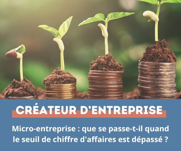 Actualités : Micro-entreprise seuil